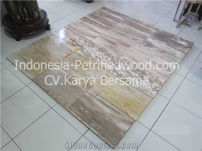 Petrified Wood Tiles & Slabs