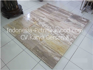 Petrified Wood Tiles & Slabs