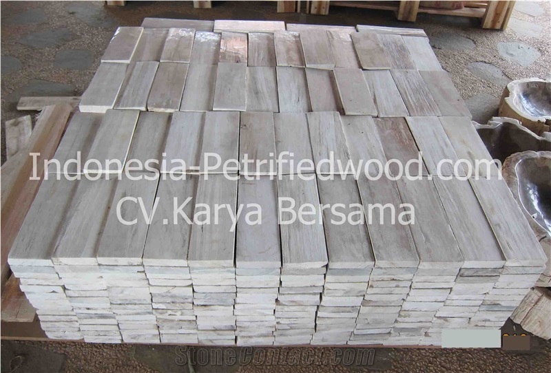 Petrified Wood Tiles & Slabs