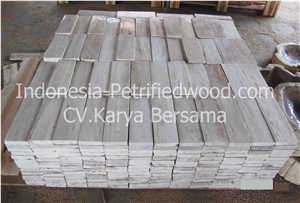Petrified Wood Tiles & Slabs