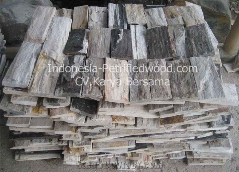 Petrified Wood Tiles & Slabs