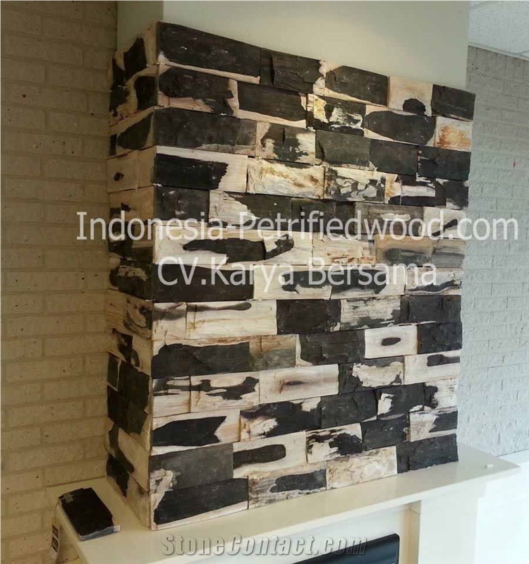 Petrified Wood Tiles & Slabs