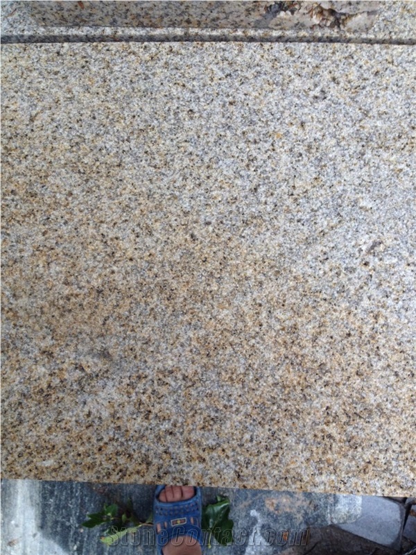 G682 Shandong Yellow Rustic Granite Sunset Gold Padang Giallo Bushhammered Tiles & Slabs