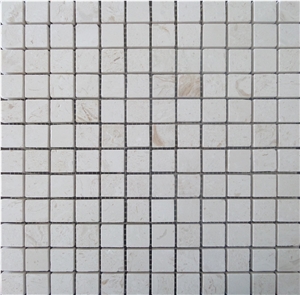 Shell Stone Mosaics