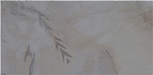 Bukhara Scuro Limestone