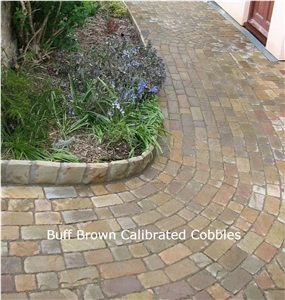 Buff Brown Sandstone Calibrated Cobbles