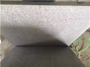80cm G654 Flamed Granite Tiles/Padang Dark Granite Tiles/Impala Black Granite Tiles/Sesame Black Granite Tiles & Slabs