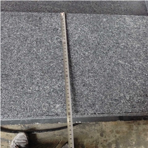 Outdoor Steps Granite G654/Flamed Surface Stair Treads/Grey Granite Stair Riser