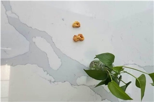 Calacatta Quartz Slabs