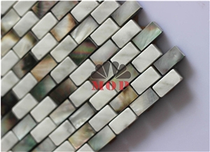 Big Clearance Marble Shell Mosaic Veneer Villa