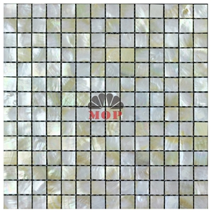 Honed Backsplash Shell Mosaic Wall Tile Entryway
