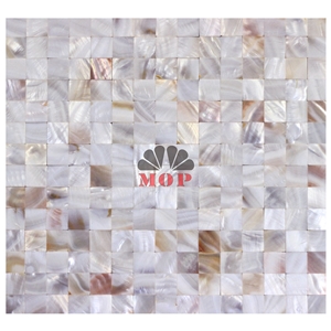 Mesh Table Decoration Freshwater Shell Wall Mosaic