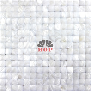 Mesh Without Gap Shell Tile Mosaic Slab Background Mesh Without Gap Shell Tile Mosaic Slab Background