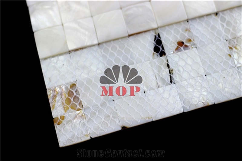 Mesh Without Gap Shell Tile Mosaic Slab Background