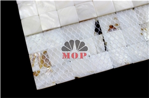 Mesh Without Gap Shell Tile Mosaic Slab Background