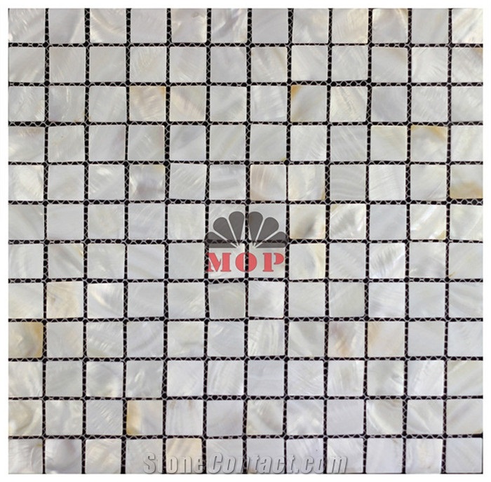 Square Mesh Back Ceramic Shell Board Wall Mosaic