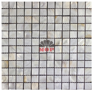 Square Mesh Back Ceramic Shell Board Wall Mosaic Square Mesh Back Ceramic Shell Board Wall Mosaic