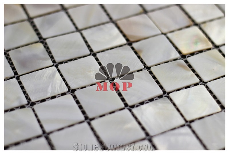 Square Mesh Back Ceramic Shell Board Wall Mosaic