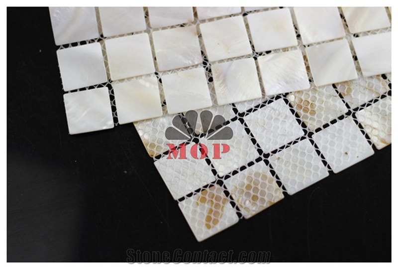 Square Mesh Back Ceramic Shell Board Wall Mosaic