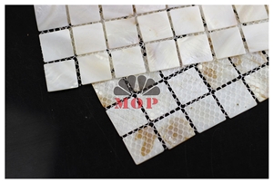 Square Mesh Back Ceramic Shell Board Wall Mosaic