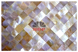 Tumbled Decoration Panel Shell Mosaic Building Material