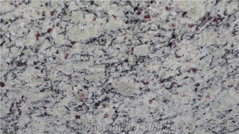 Primata White