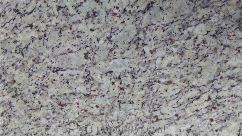 Toulon White