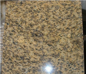 China Tiger Skin Yellow Granite Tiles G717 Giallo Yellow Granite Polished Tiles for Floor Covering
