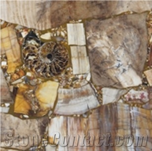 Tiles and Slabs Of Woodstone,Fossil,Crystal Natural, Pervious to Light Agate,Background Stone,Gemstone, Precious Stone
