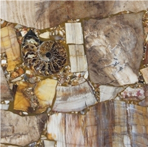 Tiles and Slabs Of Woodstone,Fossil,Crystal Natural, Pervious to Light Agate,Background Stone,Gemstone, Precious Stone Tiles and Slabs Of Woodstone,Fossil,Crystal Natural, Pervious to Light Agate,Background Stone,Gemstone, Precious Stone