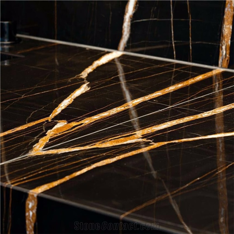 Noir Aziza Black Gold Marble Polished Slabs & Tiles