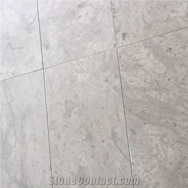 Thala Grey Limestone Tiles & Slab, Champagne Grey Limestone