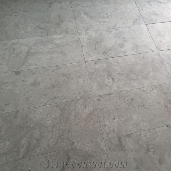 Thala Grey Limestone Tiles & Slab, Champagne Grey Limestone