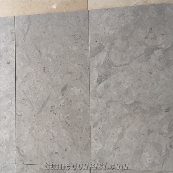 Thala Grey Limestone Tiles & Slab, Champagne Grey Limestone