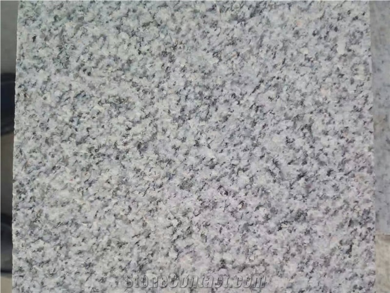 North G603 White Sesame Granite Slabs Tiles Competitive Prices