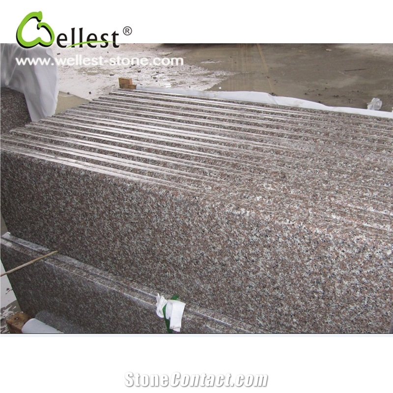 G664 Pink Granite Bullnose Edge Step and Risers