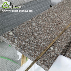 G664 Pink Granite Bullnose Edge Step and Risers