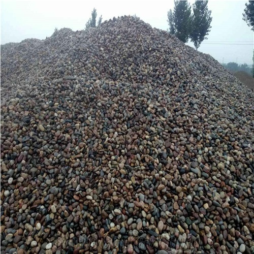 Grey Beach Pebble Stone,Tumbled River Stone,Garden Stone Big Size,Cheap Cobblestone Pattern