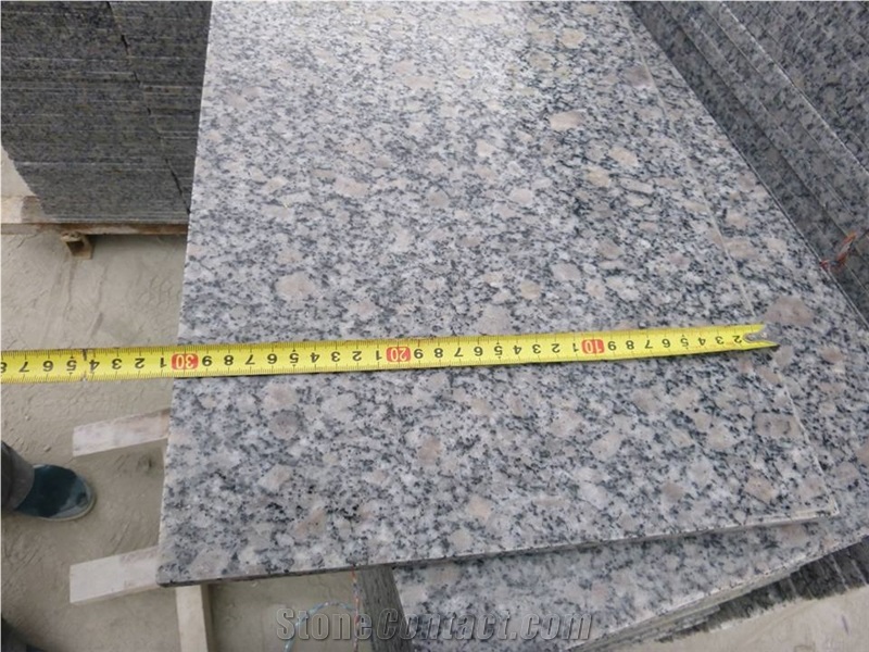 Competitive Price with Reliable Quality for G383 Polished Granite/Pearl Flower Granite/Grey Pearl Granite/China Grey Granite