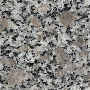 Wholesale Factory G383 Pearl Flower Granite Pink Color 600x600 Flooring Tiles