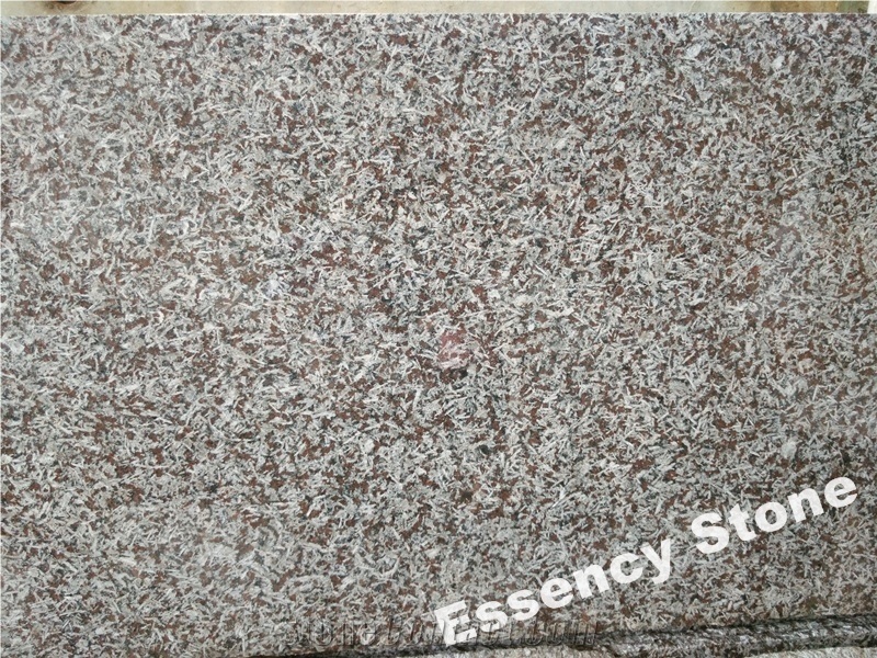 Cinzento Monchique,Cinzento San Luis Granite Slabs,Sienito Monchique