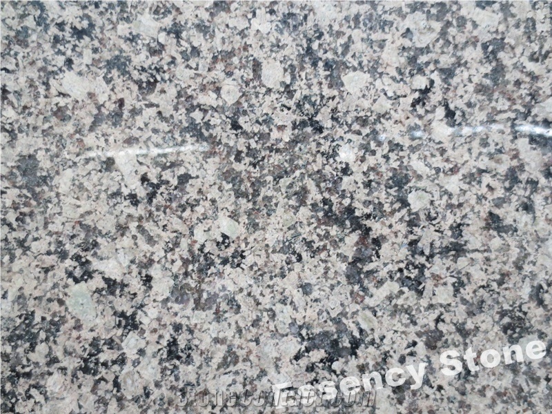 Polished India Desert Brown Granite,Desert Gold Granite Big Slabs