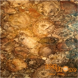 China Peterified Backlit Semi-Precious/Lapiz/Crystal/Tiger Eyes Stone Slabs & Tiles/Luxious/Wall/Flooring/Polished/Gemstone/Desk/Table