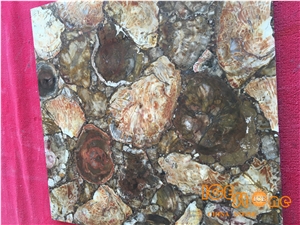 China Peterified Backlit Semi-Precious/Lapiz/Crystal/Tiger Eyes Stone Slabs & Tiles/Luxious/Wall/Flooring/Polished/Gemstone/Desk/Table