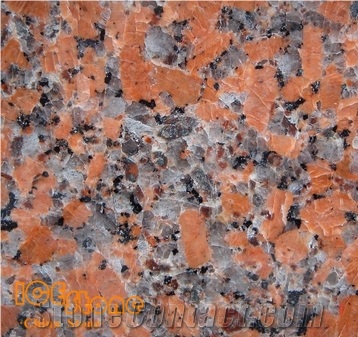 G562 Maple Red Granite Tiles for Flooring, China Red Granite