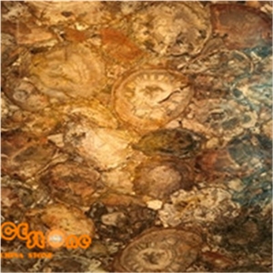 Petrifed Wood Semipricious Slabs Semi Pricious Tiles Simi Precious Stone Slabs