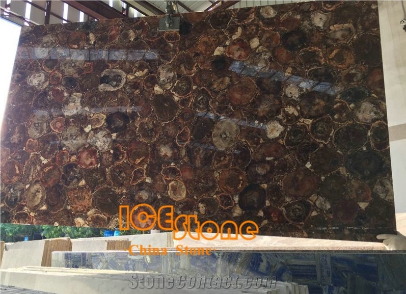 Petrified Wood Slab Gemstone/ Semi Precious Stone Panels