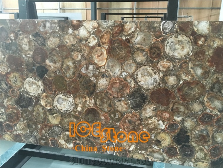 Petrified Wood Slab Gemstone/ Semi Precious Stone Panels