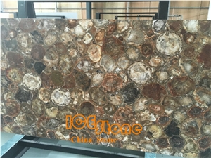 Petrified Wood Slab Gemstone/ Semi Precious Stone Panels