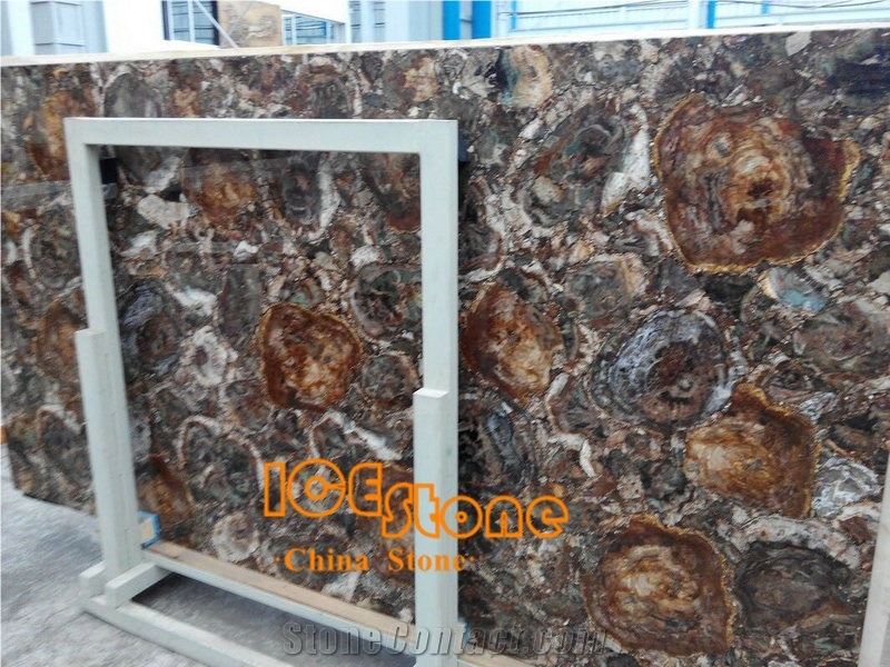 Petrified Wood Slab Gemstone/ Semi Precious Stone Panels